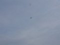 freeze fly 034